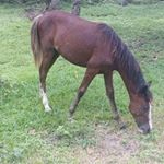 Profile Picture of randallbrionessanchez (@randallbrionessanche) on Instagram