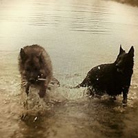 Jess Radford - Quora Profile Picture of Jess Radford (@jess-radford-4) on Quora