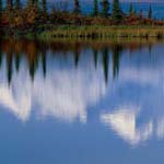 Profile Picture of Sherri_McCarthy (@sherri_mccarthye) on Instagram