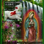 Profile Picture of elsa pineda (@elsa_pineda) on Instagram