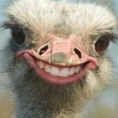 Lawrence Nguyen - Twitter Profile Picture of Lawrence Nguyen (@TheAdvancedCode) on Twitter