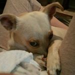 Profile Picture of Lisa Malpass (@lawlinger) on Instagram