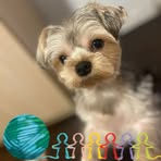 Profile Picture of Hautel Cali (@hautel.cali) on Facebook