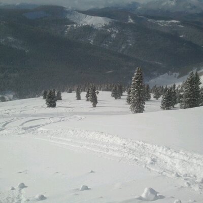 Profile Picture of Aaron Krawiec (@A_Krawiec) on Twitter