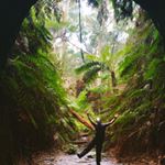 Profile Picture of David Blakeley (@david.w.blakeley) on Instagram