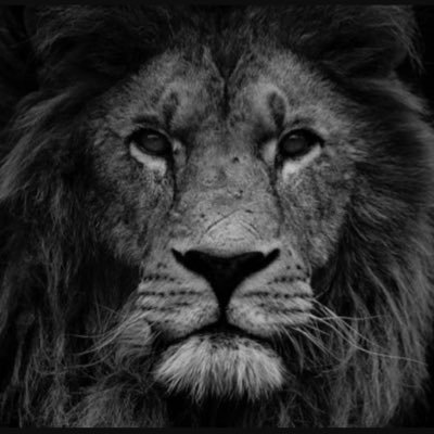 Profile Picture of Kevin Hodge (@K12Hodge) on Twitter