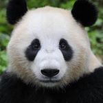 Profile Picture of Gavin Hudson (@gavin.hudson.336) on Instagram