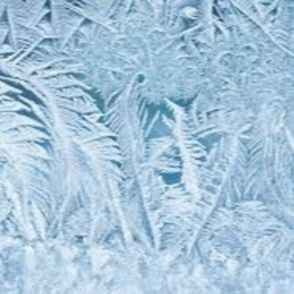 Profile Picture of Jordyn Frost (@jordynafrost) on Poshmark