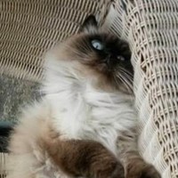 Profile Picture of Brenda Hawk (@brenda-hawk-2) on Quora