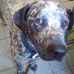 Profile Picture of Phyllis Reeves (@phyllis.reeves.982) on Facebook