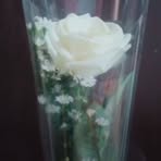 Profile Picture of Savin Audrey Corpuz (@Savin-Audrey-Corpuz) on Facebook