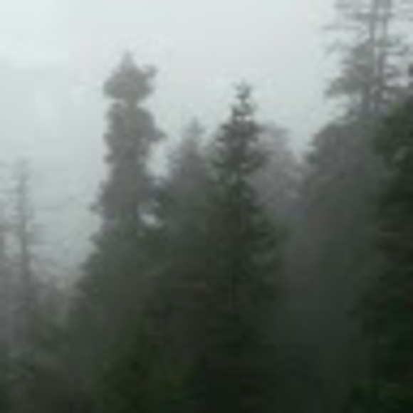 Profile Picture of Luisa Alava (@lmalava87) on Poshmark