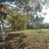 Profile Picture of Jordyn White (@jordyn-white-7) on Quora