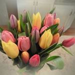 Profile Picture of Marcy Witt Schroeder (@mjschroeds) on Instagram