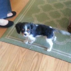 Profile Picture of Joe Tav (@JoseTaverner) on Twitter