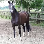 Deborah van Lier - Facebook Profile Picture of Deborah van Lier (@karin.dejager.54) on Facebook