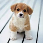 Mark Fredrickson - Instagram Profile Picture of Mark Fredrickson (@themlife_101) on Instagram