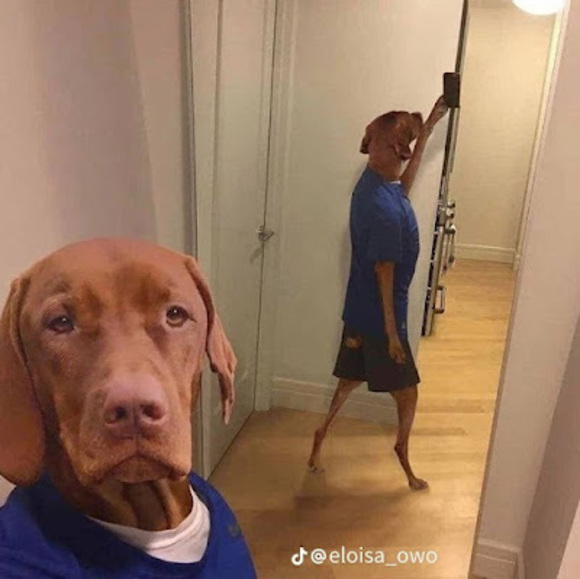 Profile Picture of Cristian Cambara (@ccambara1) on Poshmark