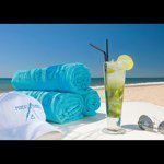 Profile Picture of Nikki Beach Cabo San Lucas (@nikkibeachcabo) on Instagram