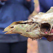 Profile Picture of Matthew Rosado (@14mattfire) on Youtube