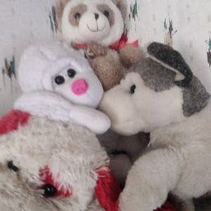 Profile Picture of Jeffrey Roy (@jeffrey.roy3) on Tiktok