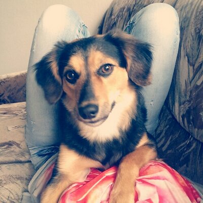 Profile Picture of Mandy Bader (@MandyBader) on Twitter