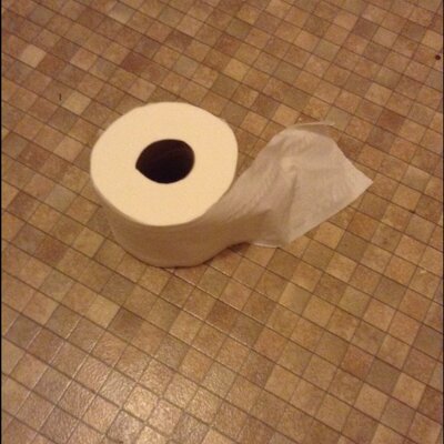 Profile Picture of Mitchell Mark Moir (@04Moir) on Twitter