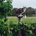 Profile Picture of David Charman (@david.charman.7o) on Facebook
