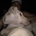 Profile Picture of Danny Costello (@costello6012) on Instagram
