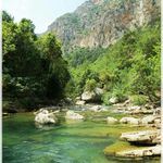 Profile Picture of Alaa Ayoub (@alaaayoub2947) on Instagram