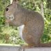 Profile Picture of Ginni Andersen (@ginniandersen) on Pinterest