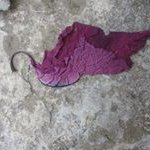 Profile Picture of Daniel Costigan (@daniel.costigan) on Instagram