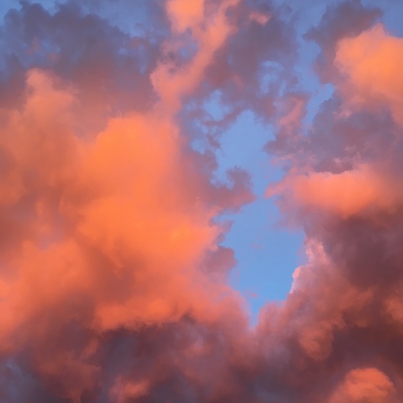 Profile Picture of Chase Padlow (@cpadlow6) on Poshmark