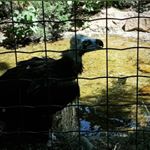 Profile Picture of Daniel Komoráš (@ddan_encoree) on Instagram