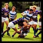 Troy Duerkson - Instagram Profile Picture of Troy Duerkson (@troyduerkson) on Instagram