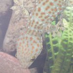 Profile Picture of Aurora Lorelei Johnson (@aurora_j123) on Instagram