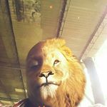 Kimberly Bloom - Instagram Profile Picture of Kimberly Bloom (@kimberly.bloom.528) on Instagram