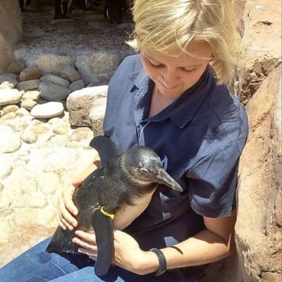 Profile Picture of Stacey Webb (@StaceyW72106895) on Twitter