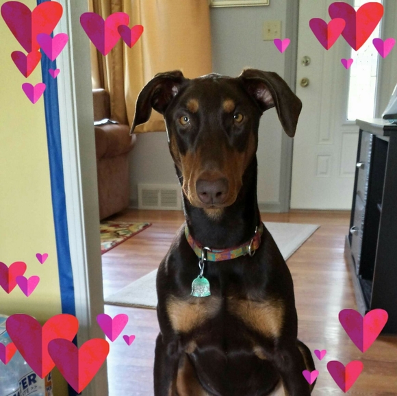 Profile Picture of Elizabeth Adamsky (@bradshaw1243) on Poshmark