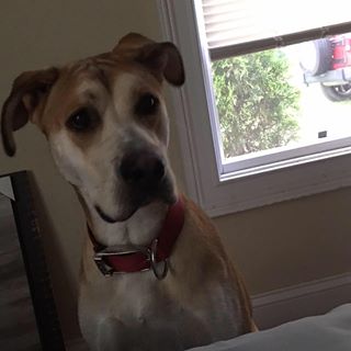 Profile Picture of Daniel Polley (@daniel.polley.3) on Facebook