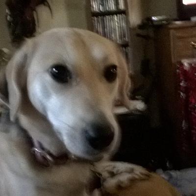 Profile Picture of Patricia Grimes (@PatGrimes56) on Twitter