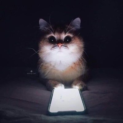 Profile Picture of Laili (@lailinurhasanah) on Twitter