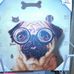 Profile Picture of Muriel Clack (@muriel.clack.35) on Facebook