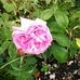 Profile Picture of Marian Craig (@marian.craig.7758) on Facebook