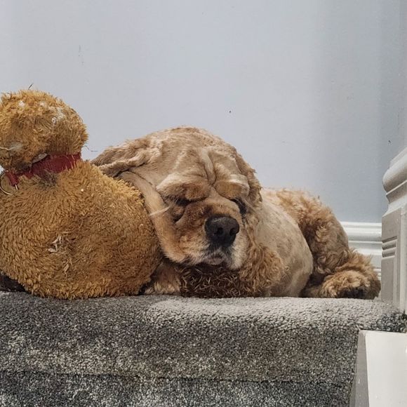 Profile Picture of Camille Vannier (@gimlismom) on Poshmark