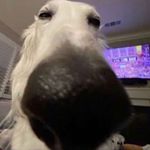 Profile Picture of Thomas Schramm (@thomas.schramm_) on Instagram
