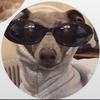 Profile Picture of 🐸🍄✨ (@@jeanneebeauchamp) on Tiktok