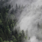 Profile Picture of Joe Meredith (@joemeredith5526) on Youtube