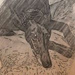 Profile Picture of Lucy Wolboldt (@rennaissancegreythounds) on Instagram