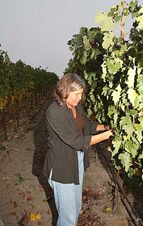 Profile Picture of Dawnine Dyeron Wikipedia